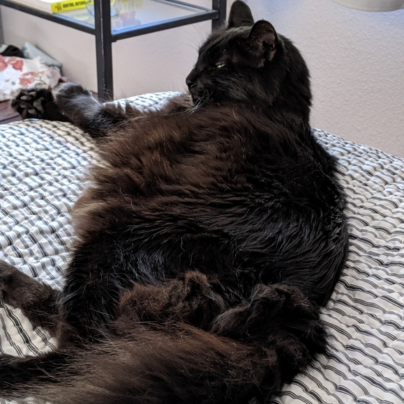 Meet your Posher, Debbee - Picture 11 of 13